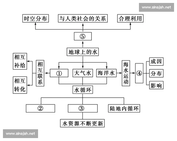 单核带队新战略解析：如何在竞争激烈的市场中实现突破与持续发展