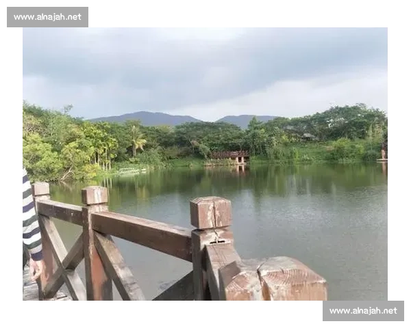 红牌警告下的行为规范与安全管理新思路探索